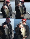 pictures