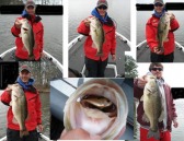 pictures