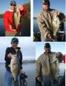 pictures