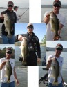 pictures