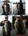 pictures