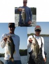 pictures
