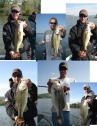 pictures