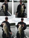 pictures