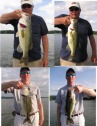 pictures