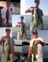 pictures