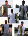 pictures