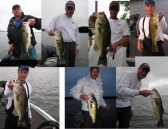 pictures