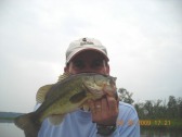 pictures
