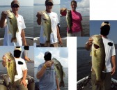 pictures
