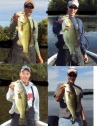 pictures