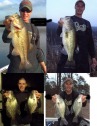 pictures