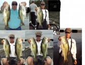 pictures
