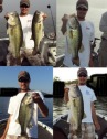 pictures