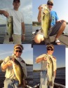 pictures