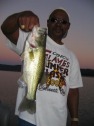 pictures