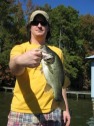 pictures