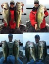 pictures