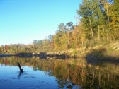 pictures