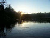 pictures
