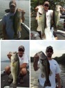 pictures
