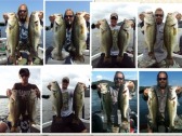 pictures