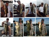 pictures
