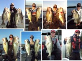 pictures