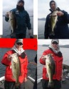 pictures