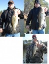 pictures
