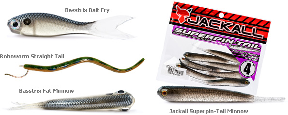 Drop Shot Baits