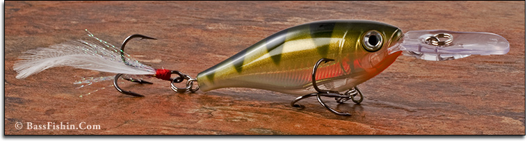 Body Shape of Crankbait