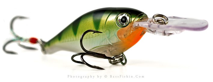 X Rap Shad Crankbait