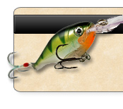 X Rap Crankbait