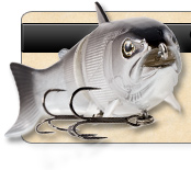 BBZ-1 Swimbait