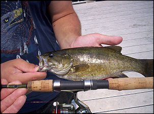 Click image for larger version

Name:	Smallmouth2Rod.jpg
Views:	492
Size:	461.2 KB
ID:	1713