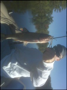 Click image for larger version

Name:	carp or trout.jpg
Views:	443
Size:	369.0 KB
ID:	4278