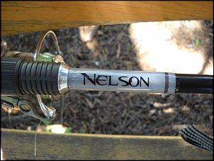 Click image for larger version

Name:	Nelson logo.JPG
Views:	549
Size:	85.3 KB
ID:	5096