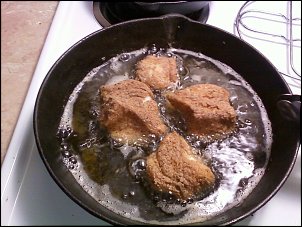 Click image for larger version

Name:	fish fry.jpg
Views:	322
Size:	256.0 KB
ID:	5217