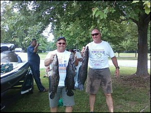 Click image for larger version

Name:	snakeheads big.jpg
Views:	341
Size:	122.7 KB
ID:	5272