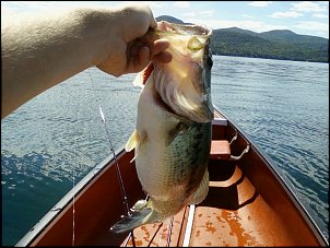 Click image for larger version

Name:	bigbass2.jpg
Views:	264
Size:	111.7 KB
ID:	5505