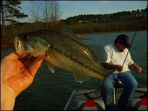 Click image for larger version

Name:	First-bass-of-2011.jpg
Views:	368
Size:	86.5 KB
ID:	6317