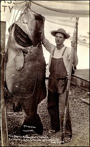 Click image for larger version

Name:	Retro-Huge-Fish-Giant-Sea-Bass.jpg
Views:	356
Size:	187.8 KB
ID:	8543
