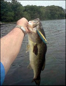 Click image for larger version

Name:	Flint lake bass 5-26-12.jpg
Views:	381
Size:	43.2 KB
ID:	8593