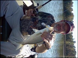Click image for larger version

Name:	striper.jpg
Views:	751
Size:	47.1 KB
ID:	8931