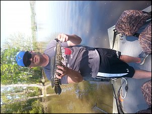 Click image for larger version

Name:	Kevin snakehead.jpg
Views:	499
Size:	530.5 KB
ID:	9052