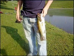 Click image for larger version

Name:	Rob's 15 inch bass 2.JPG
Views:	352
Size:	341.1 KB
ID:	5662