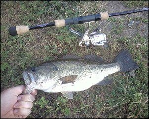 Click image for larger version

Name:	bayne park bass.jpg
Views:	367
Size:	438.1 KB
ID:	3883