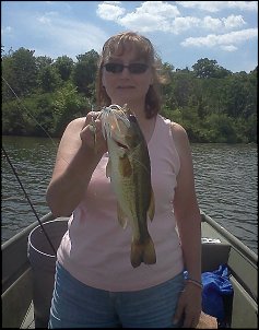 Click image for larger version

Name:	June bass 2.jpg
Views:	553
Size:	390.5 KB
ID:	9067