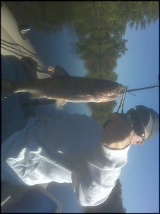 Click image for larger version

Name:	carp or trout.jpg
Views:	441
Size:	369.0 KB
ID:	4278